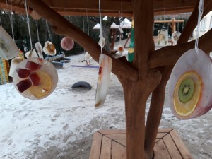 20170208_094224
