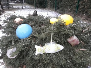 20170209_093918